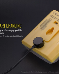 Nitecore EH1 Explosion-Proof LED Headlamp Magnetic USB Rechargeable Headlamp (260 Lumens, 2x18650)